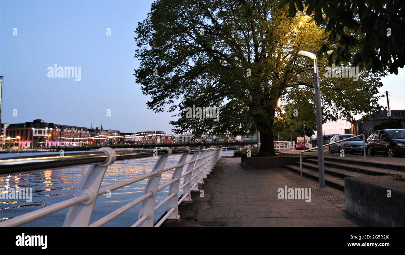 Limerick City, Irlanda, fiume Shannon, passeggiata attraverso la città, bellezza tutto intorno alla città, fiori statue costruzione fiume Swans Foto Stock