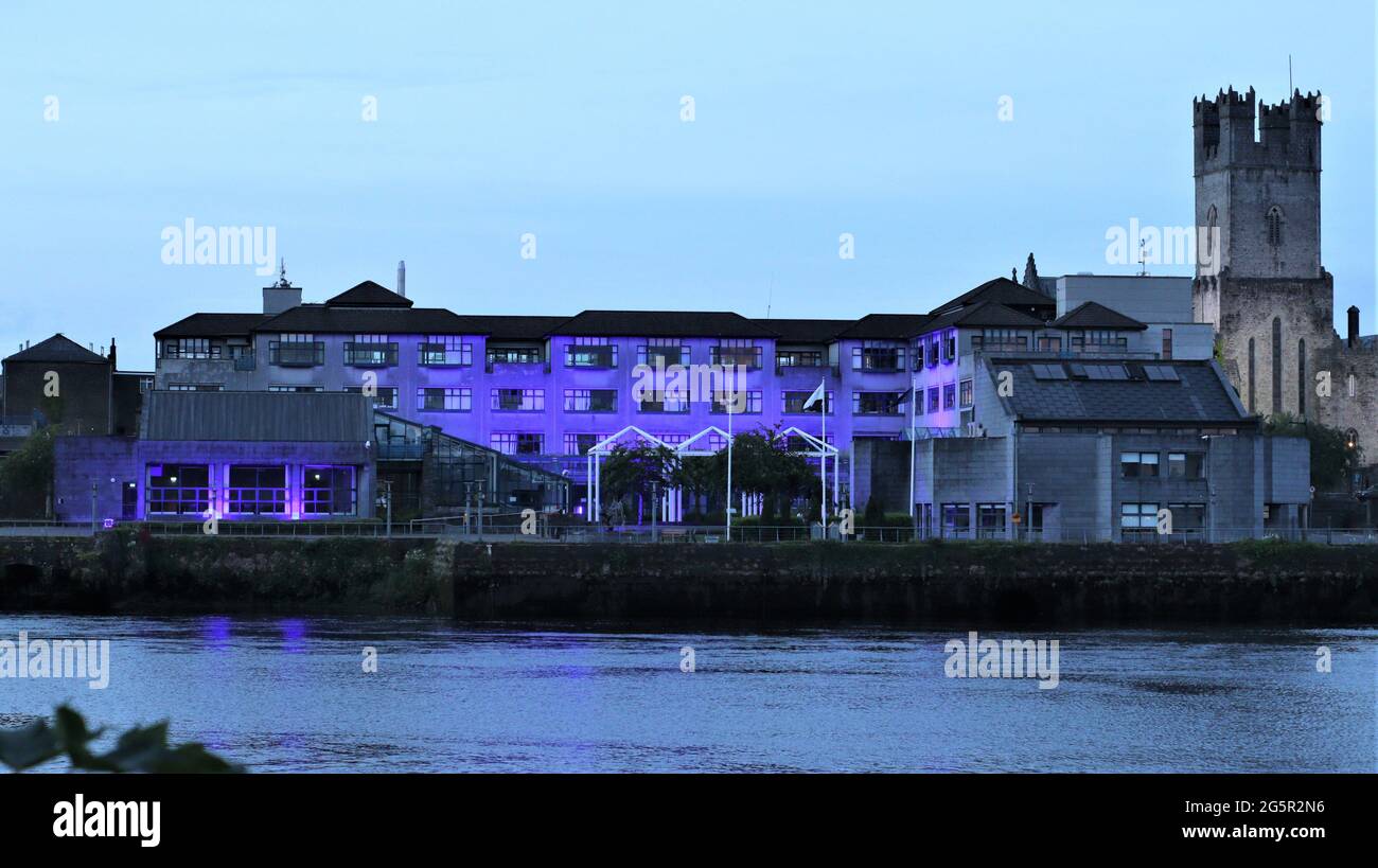 Limerick City, Irlanda, fiume Shannon, passeggiata attraverso la città, bellezza tutto intorno alla città, fiori statue costruzione fiume Swans Foto Stock