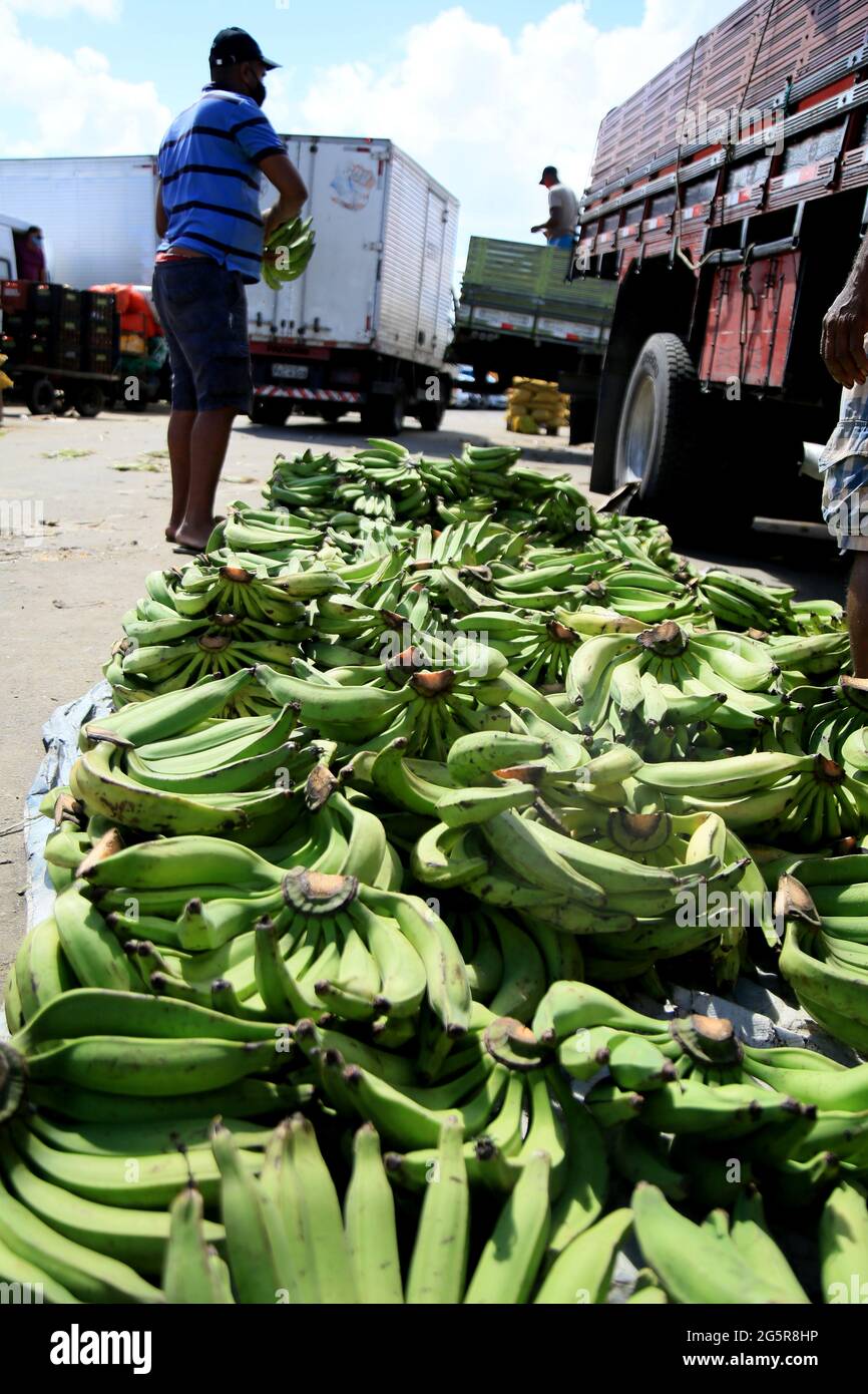salvador, bahia, brasile - 28 giugno 2021: Banana in vendita a Feira de Sao Joaquim nella città di Salvador. *** Local Caption *** Foto Stock