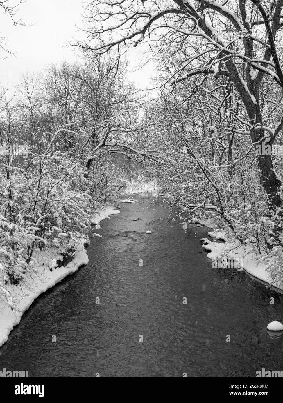 La neve fresca cade lungo un torrente Foto Stock