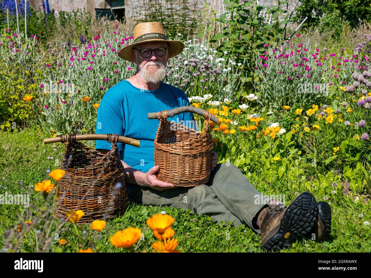 Gilmerton Walled Garden, East Lothian, Scozia, Regno Unito, 29 giugno 2021. Tessitura Willow: Jerry Simcock mostra alcuni dei suoi cestini di salice tessuti da salice cresciuto nel giardino. Il giardino è in fase di sviluppo da un piccolo gruppo di volontari e comprende un giardino fiorito, sentiero del salice, alveari delle api, macchie di verdure, frutteto e prati di fiori selvatici. Iniziato nel 2016, il giardino sta gradualmente prendendo forma e si spera che i nuovi laboratori di tessitura willow incoraggeranno i visitatori Foto Stock