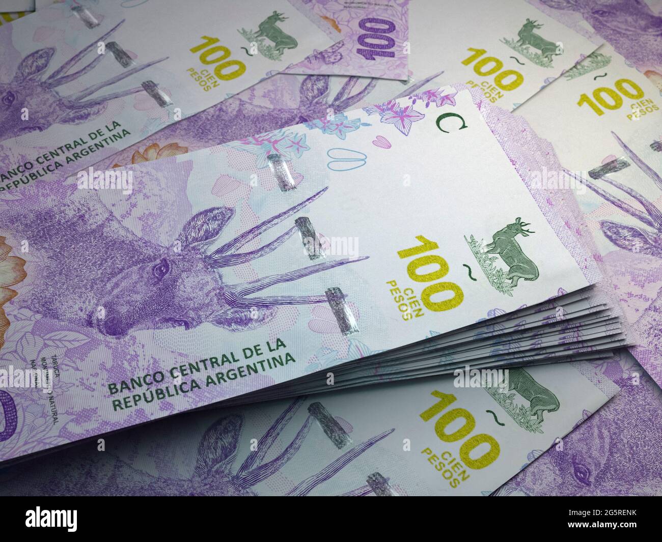 Denaro dell'Argentina. Conti di peso argentino. Banconote ARS. 100 pesos. Affari, finanza, notizie di fondo. Foto Stock