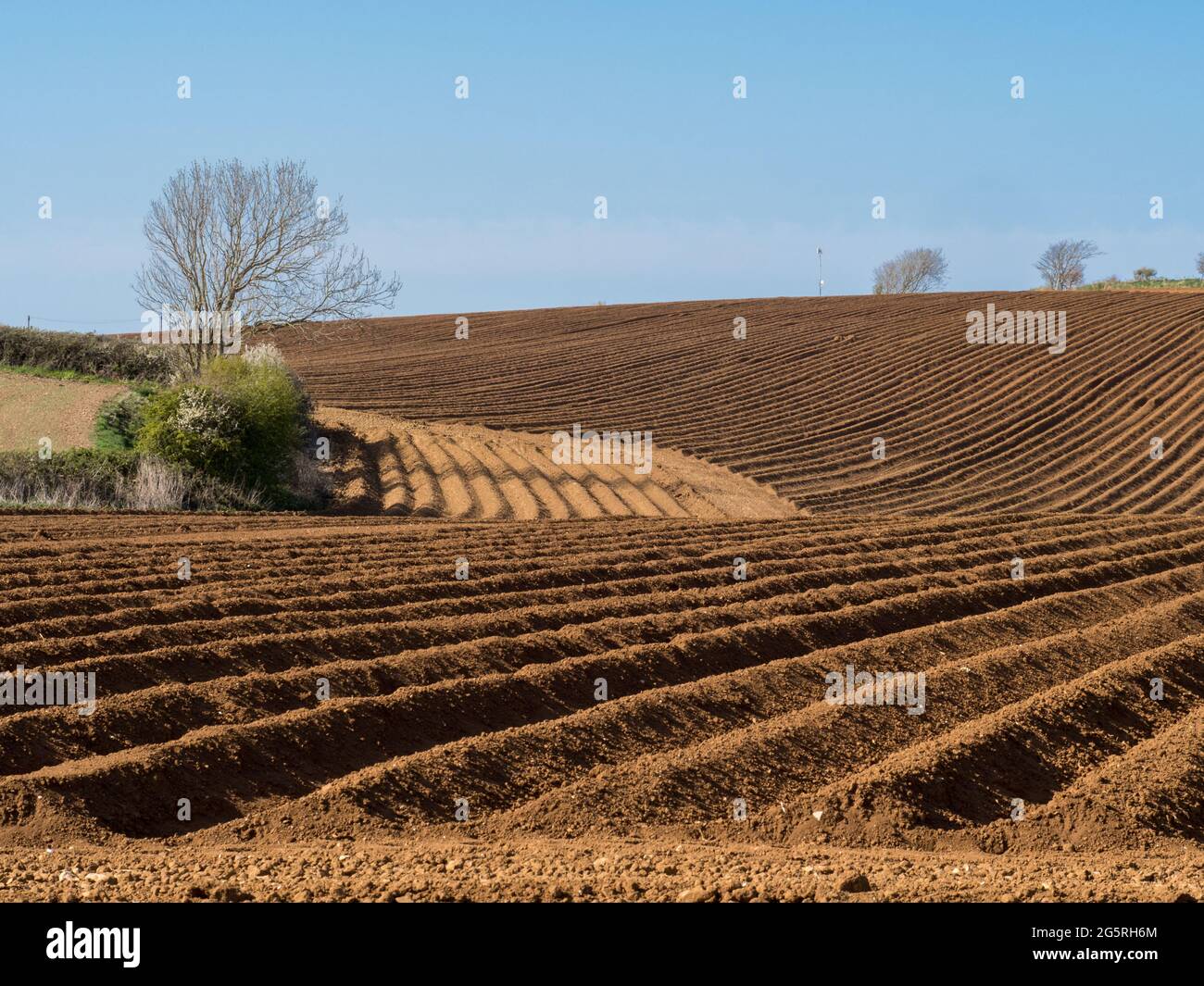forte ripetizione geometrica forma strisce modello in curve e linee in un campo cucito arato a luce dura lato ora d'oro sotto cielo blu chiaro Foto Stock