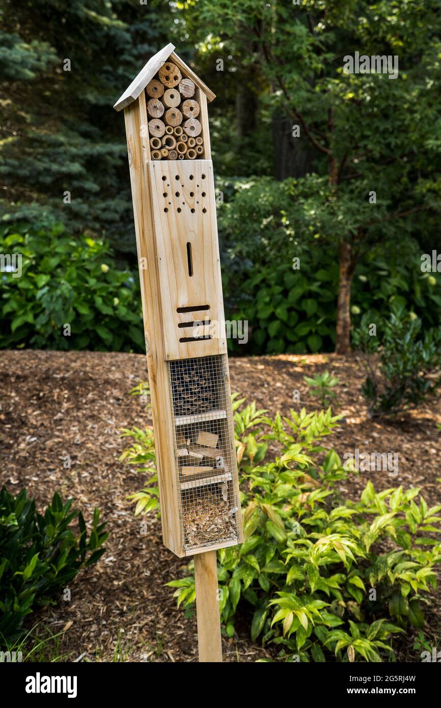 Scatola di insetto attrae insetti benefici ad un giardino. Foto Stock