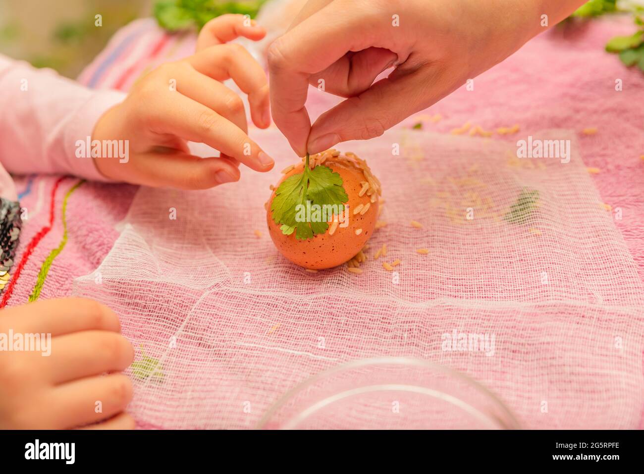 Il processo di tintura delle uova in bucce di cipolla. Colorazione ecologica delle uova per Pasqua. Disegno da foglie di prezzemolo. La mano dei bambini. Foto Stock