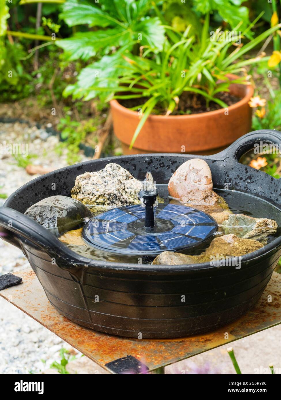 Piccola fontana solare in un improvvisato giardino bagno di uccelli con ciottoli per fornire perches per bere e fare il bagno Foto Stock