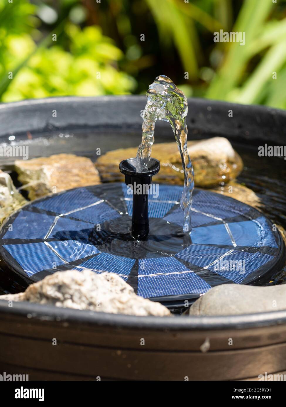 Piccola fontana solare in un improvvisato giardino bagno di uccelli con ciottoli per fornire perches per bere e fare il bagno Foto Stock