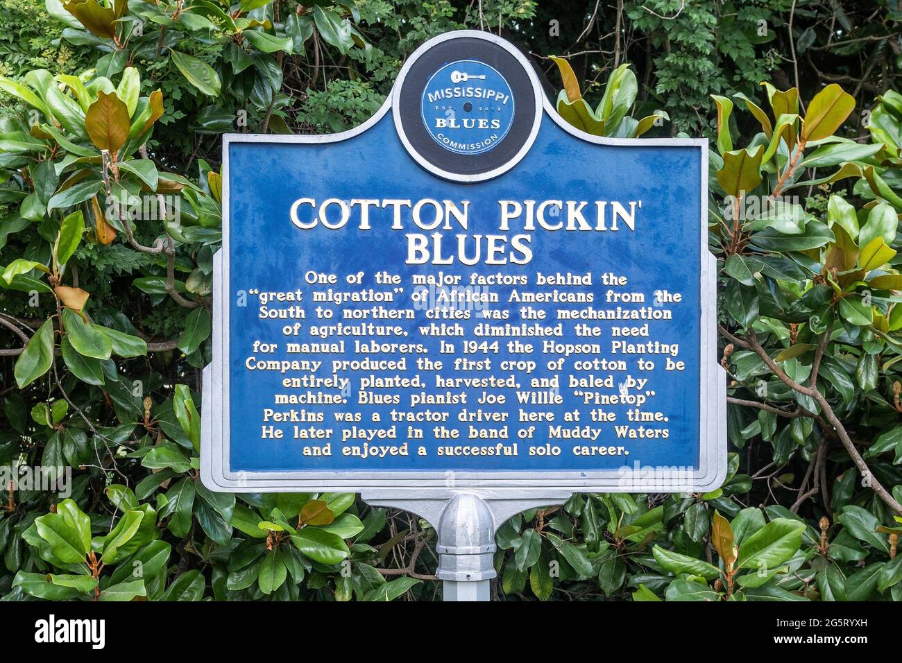 Mississippi Blues Trail, marcatore di Cotton Pickin' Blues presso la Hopson Plantation, Clarksdale, Mississippi, Stati Uniti Foto Stock