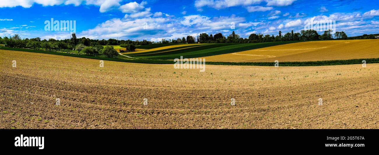 Campo di erba verde sotto nuvole bianche e cielo blu durante il giorno Foto Stock