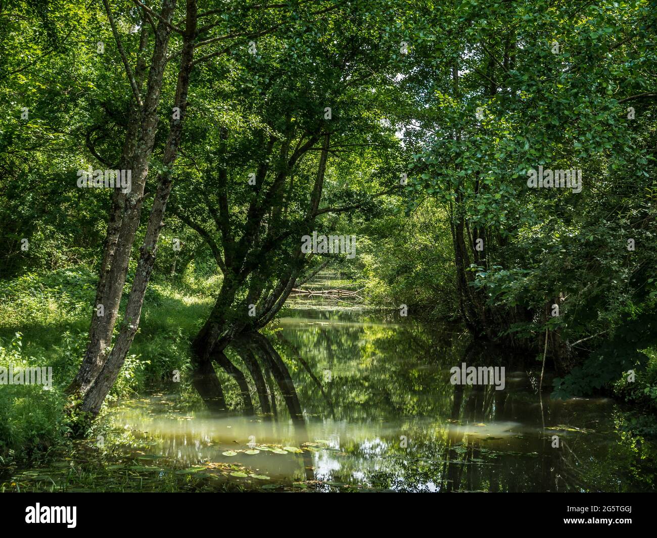 Fiume Claise, Indre (36), Francia. Foto Stock