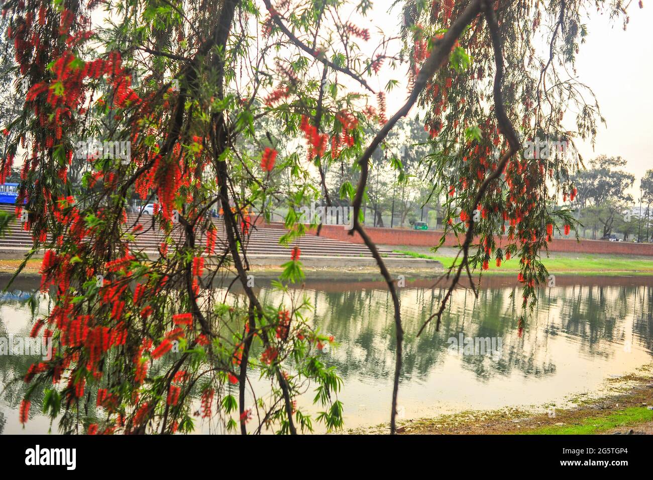 Un giorno in una vita di prospettiva del Bangladesh, Odoor photography Foto Stock