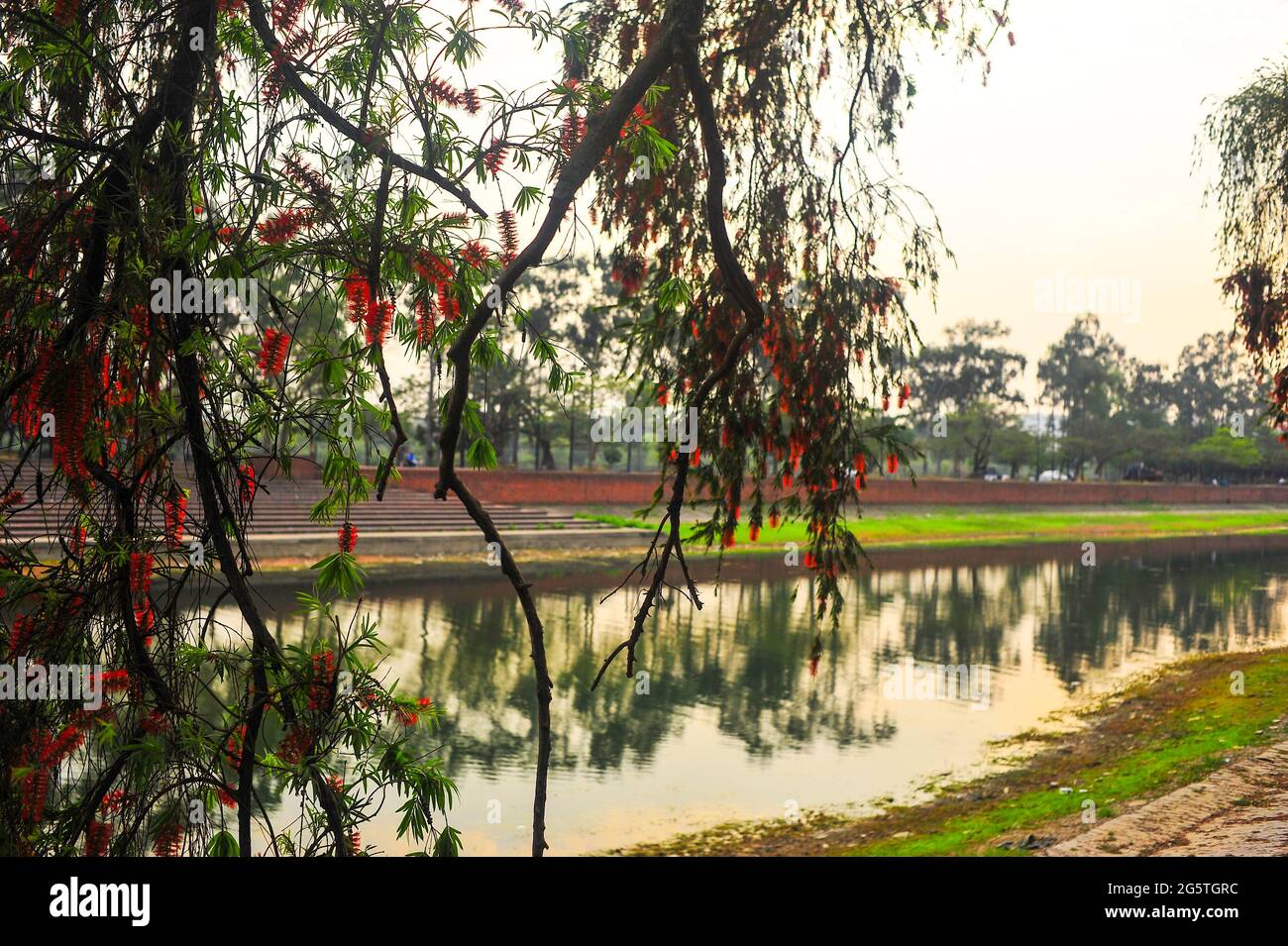 Un giorno in una vita di prospettiva del Bangladesh, Odoor photography Foto Stock