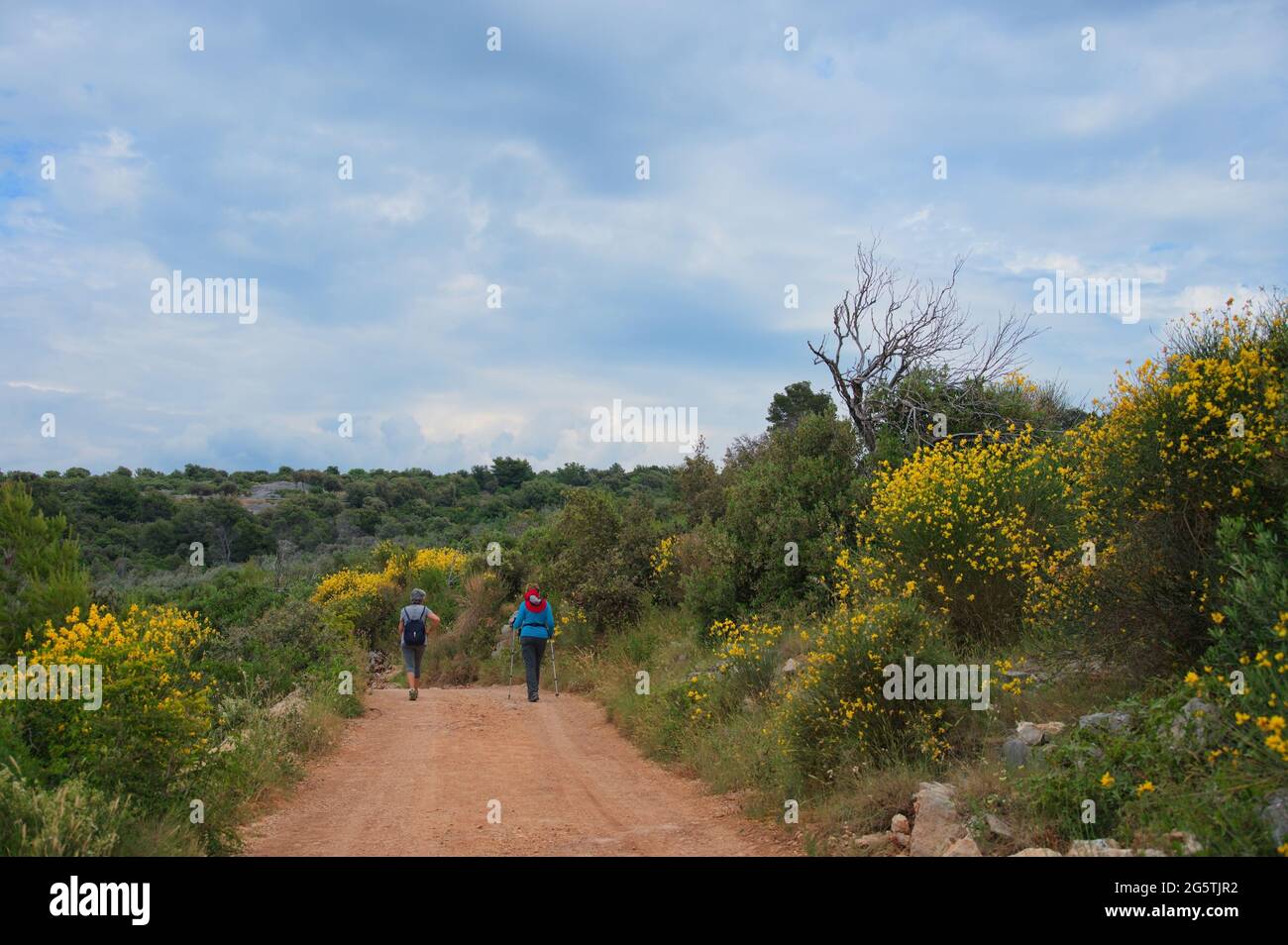 Due donne anziane che camminano lungo la strada con la flora mediterranea intorno a loro Foto Stock