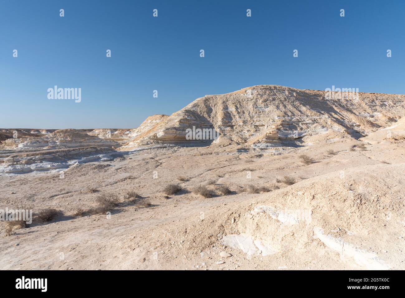 Bellissimo paesaggio lunare. Alture e dolci colline in varie forme in un paesaggio desertico. Le rocce bianche, arrotondate, tortuose e lisce di gesso. Israele. Foto di alta qualità Foto Stock