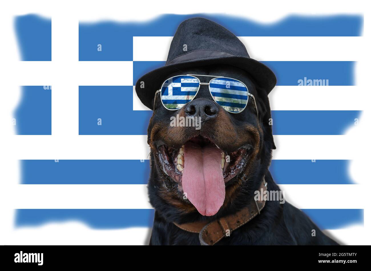 Cane nero con occhiali da sole e cappello si siede sullo sfondo della bandiera. Maschio Rottweiler di fronte alla bandiera nazionale della Grecia. Potente e sicuro p Foto Stock