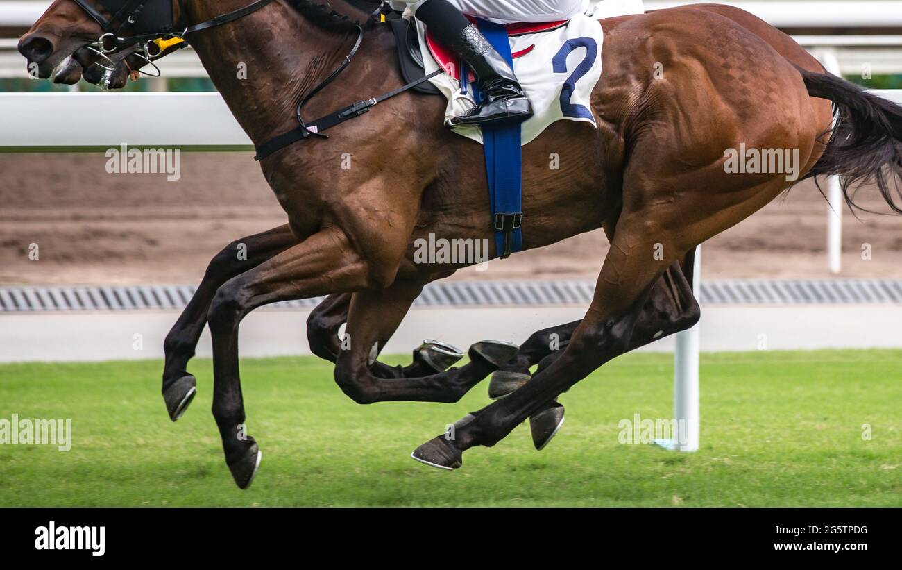 Fotografia a tema di corse di cavalli. Cavalli che corrono sulla pista da corsa. Foto Stock