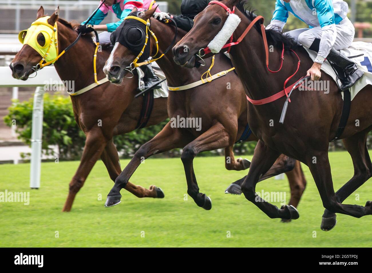 Fotografia a tema di corse di cavalli. Cavalli che corrono sulla pista da corsa. Foto Stock