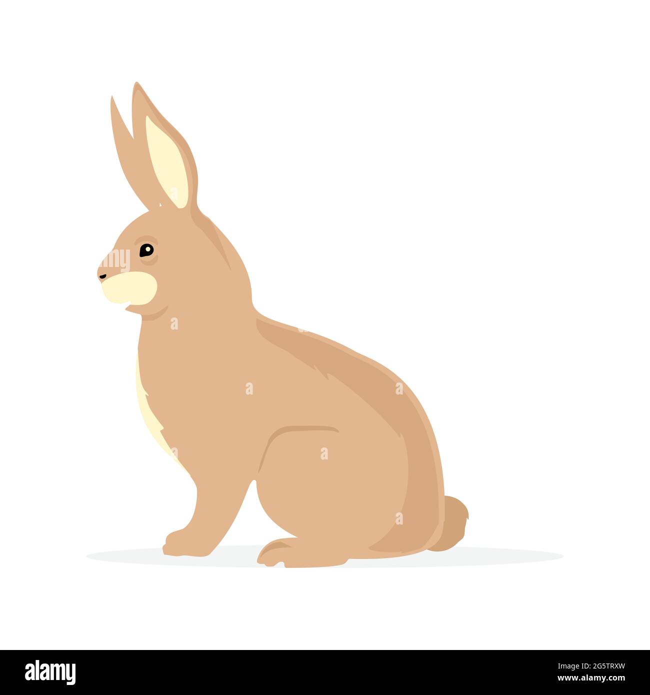Carino marrone coniglio coniglio coniglio bunny roditore cartone isolato su sfondo bianco. Illustrazione Vettoriale
