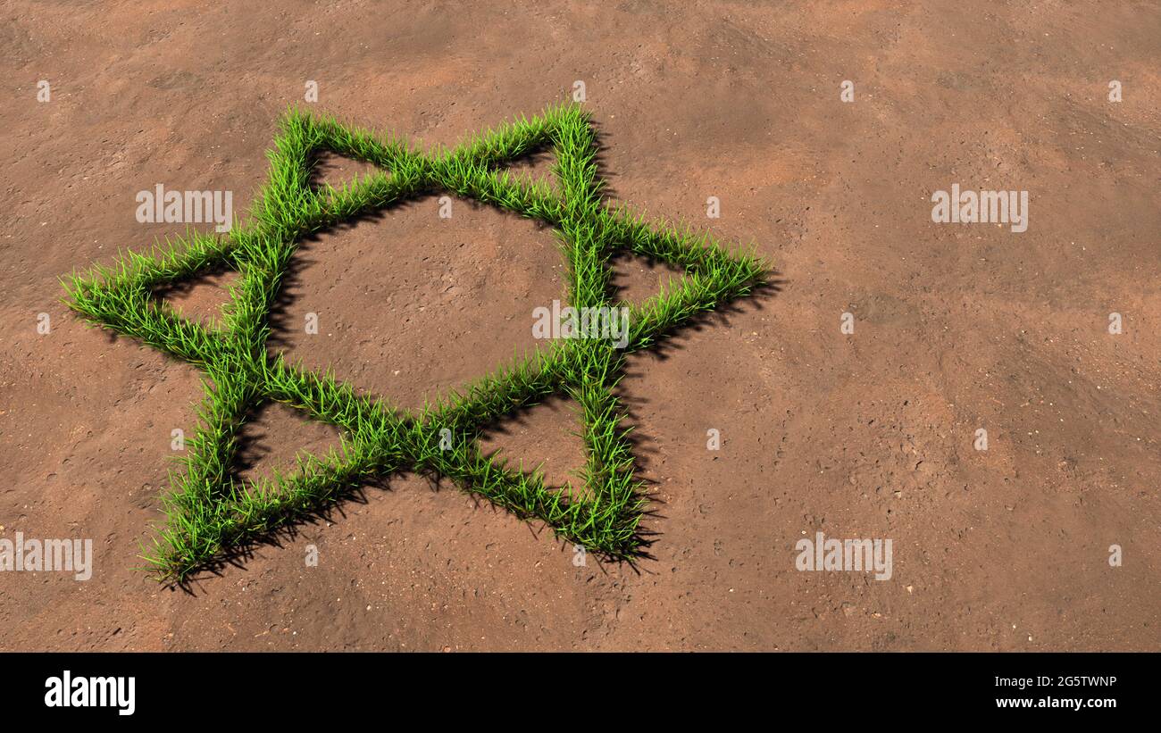 Concetto concettuale verde estate prato erba simbolo forma su suolo marrone o terra sfondo, segno di religioso stella ebraico David. Foto Stock