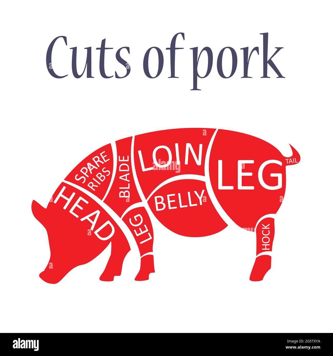 Illustrazione vettoriale della silhouette rossa di maiale, grafico dei tagli di maiale. Grafico dei tagli di macellaio di maiale. Illustrazione Vettoriale