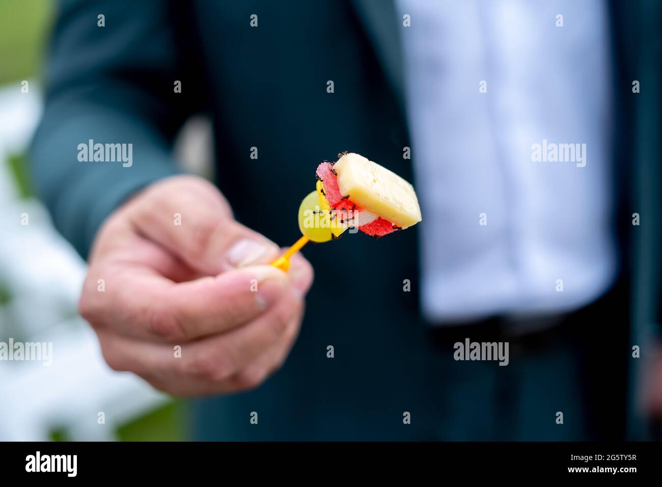 le formiche mangiano il cibo da un primo piano a buffet. Foto Stock