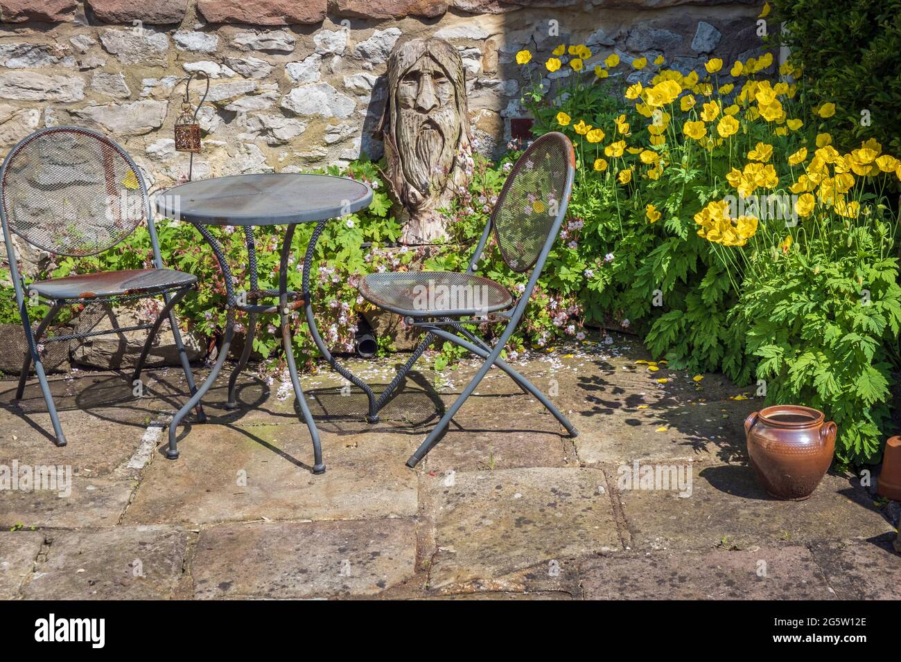 Papaveri gallesi in un giardino cottage, Wirksworth, Derbyshire Foto Stock