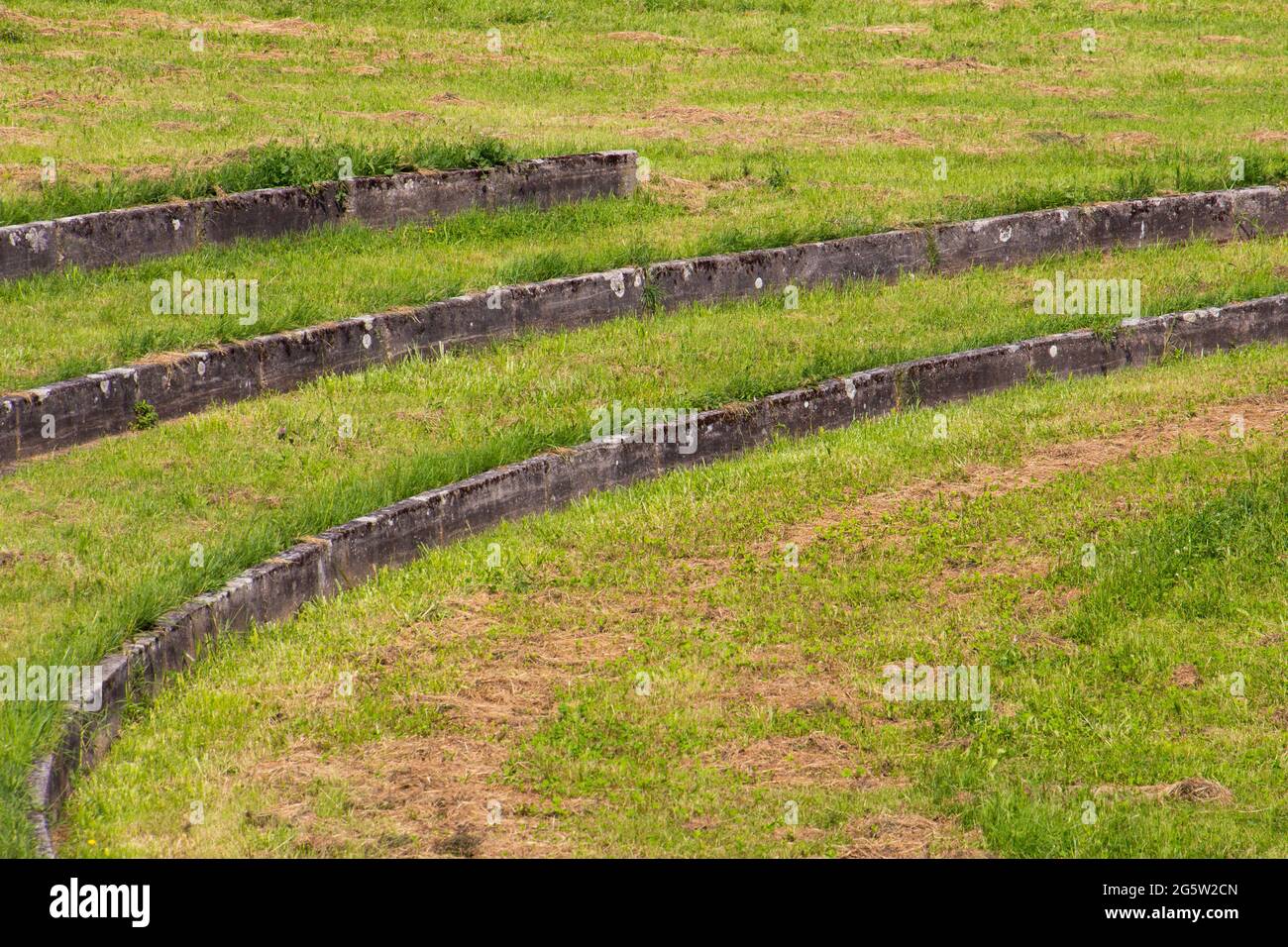 Vecchi scalini in pietra intemperie all'anfiteatro all'aperto Foto Stock