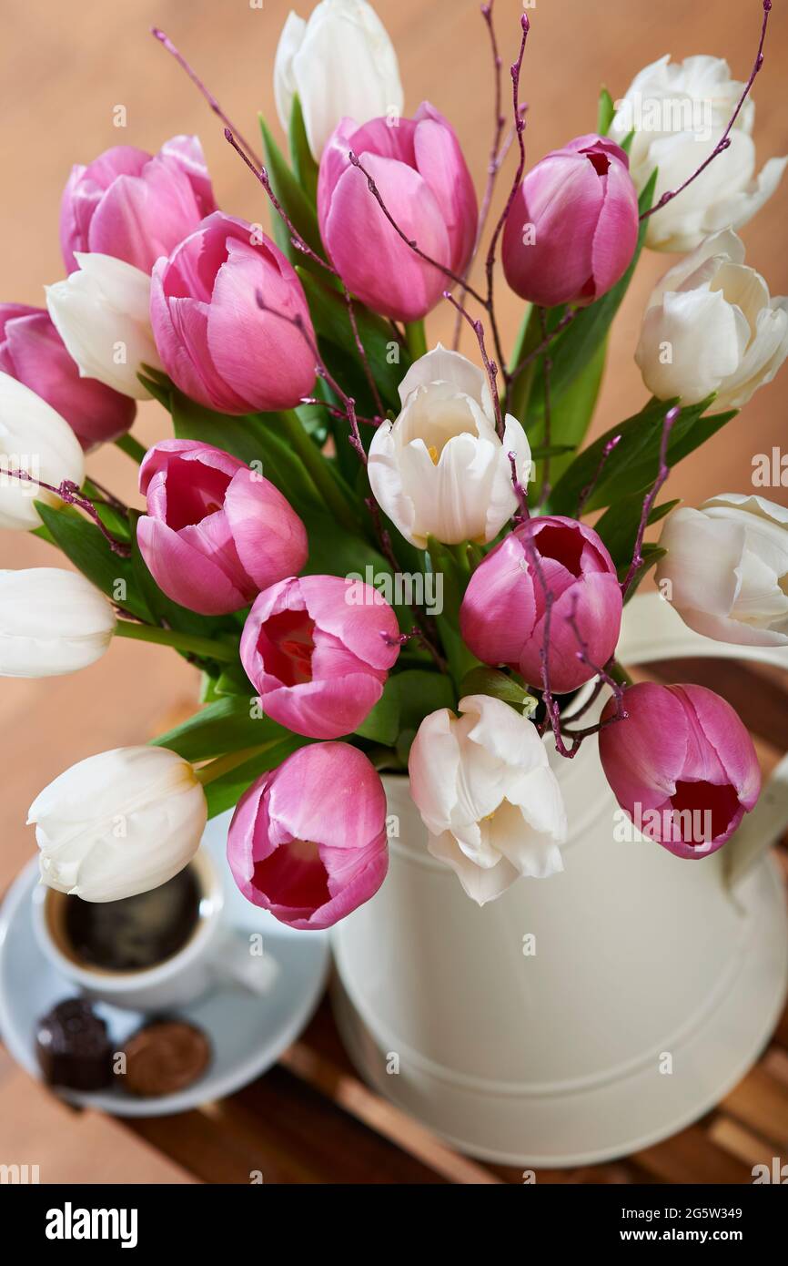 Un bouquet di tulipani olandesi bianchi e rosa con betulla rosa in un vaso bianco su un tavolino con una piccola tazza di caffè in un ambiente domestico Foto Stock