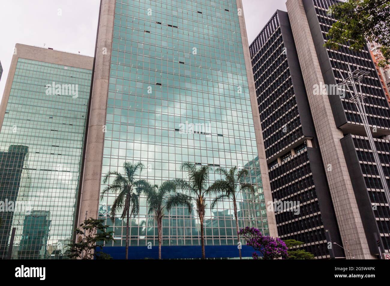 Palms e un moderno edificio in vetro a Sao Paulo, Brasile Foto Stock
