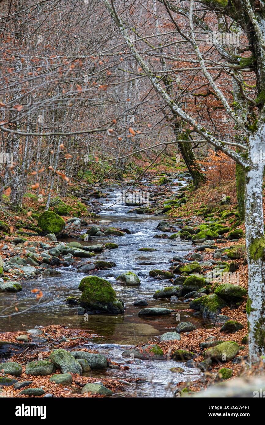 Fiume di autunno Foto Stock