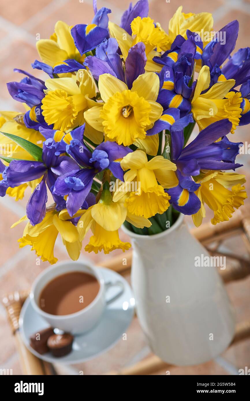 Bouquet misto di iridi e narcisi blu vividi in un vaso accanto a una tazza di tè su un tavolino da caffè in un ambiente domestico Foto Stock
