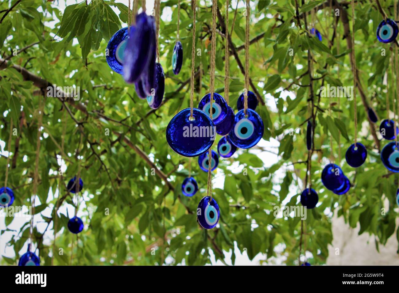 perline blu malvagie appese su un albero Foto Stock