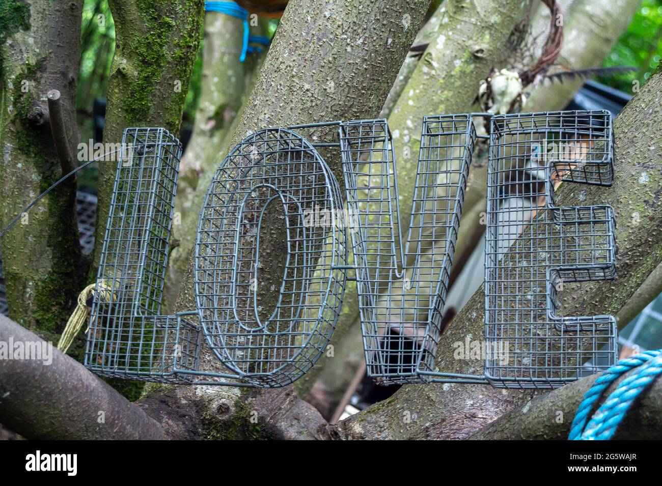 Wendover, Buckinghamshire, Regno Unito. 29 Giugno 2021. Un segno d'amore al campo. La resistenza attiva di Wendover contro il campo di protesta di HS2 W.A.R nel bosco vicino a Wendover sulla A413 dove vivono i dimostranti di Stop HS2. HS2 hanno abbattuto un'enorme area di alberi di fronte al campo in quello che era Road Barn Farm. HS2 costruirà una fabbrica di Bentonite sul sito e sta distruggendo le distese di boschi nella zona di Wendover per la controversa HS2 High Speed Rail da Londra a Birmingham. Credito: Maureen McLean/Alamy Foto Stock