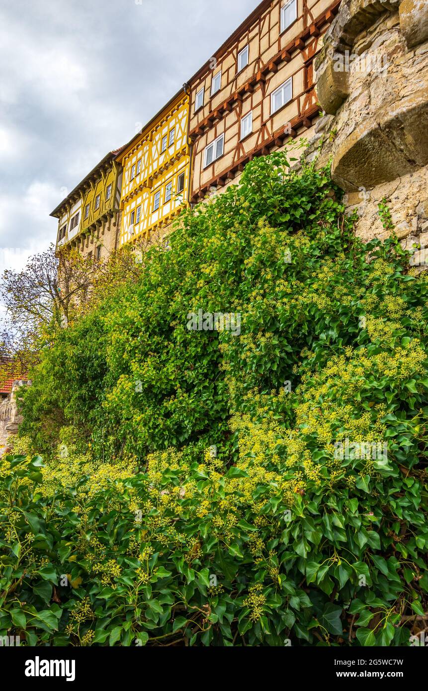 Oberes Schloss (Castello superiore), anche Obere Burg, un castello medievale in cima a una collina a Talheim nella regione di Heilbronn, Baden-Württemberg, Germania. Foto Stock