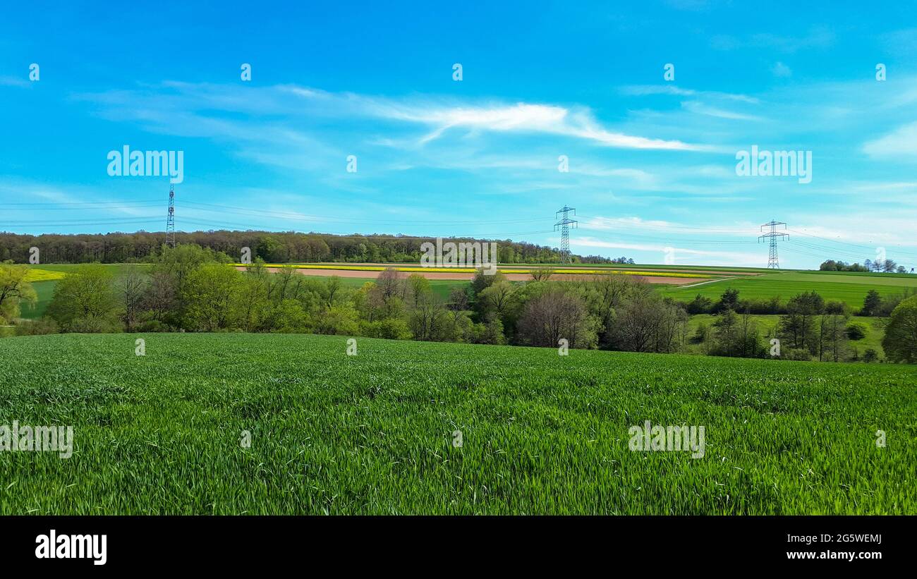 Campo verde e cielo blu nel paesaggio rurale di Sommerhausen, Germania Foto Stock