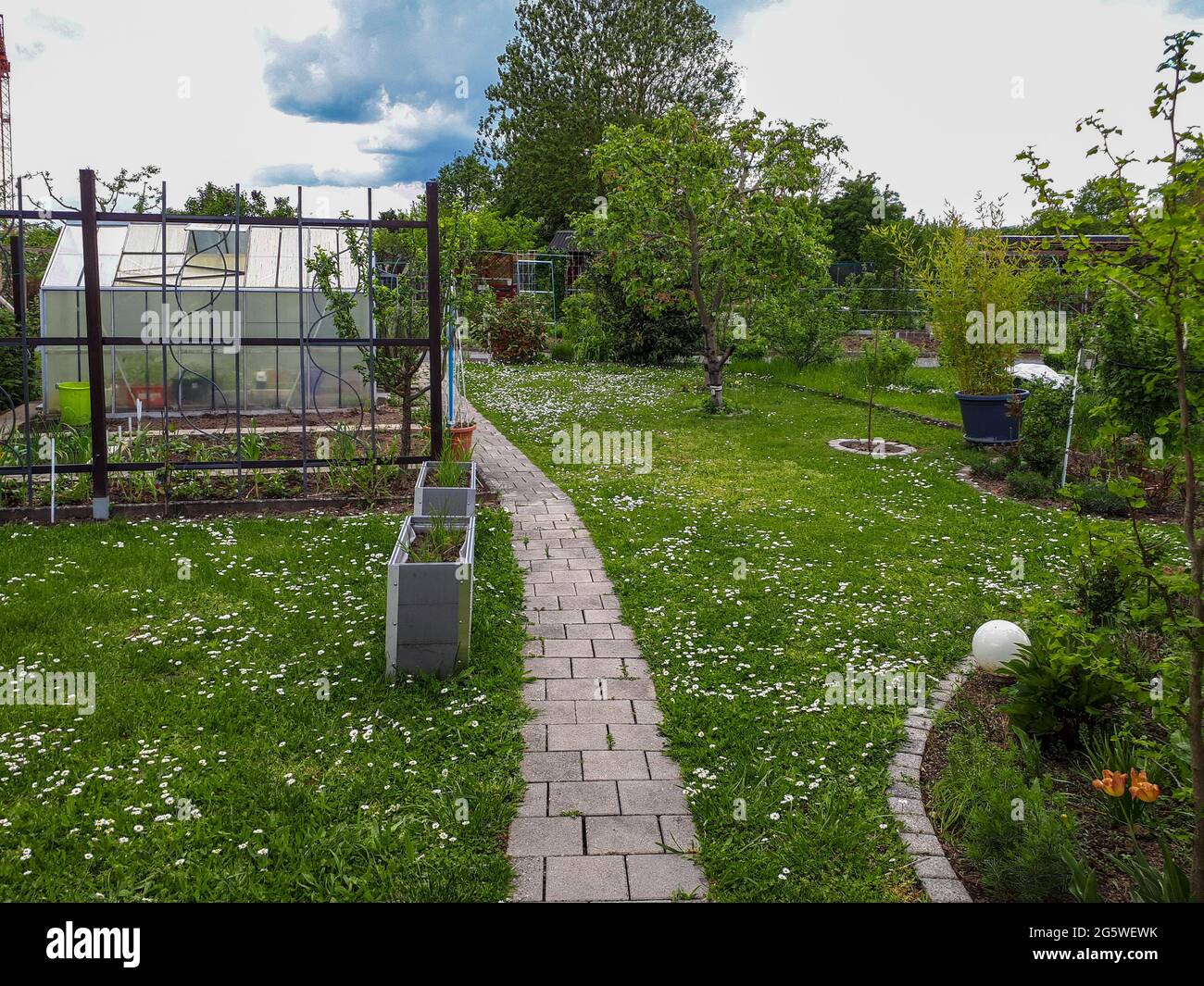 Giardino sul retro ben tenuto con serra, passerella pavimentata e vegetazione lussureggiante in Germania Foto Stock
