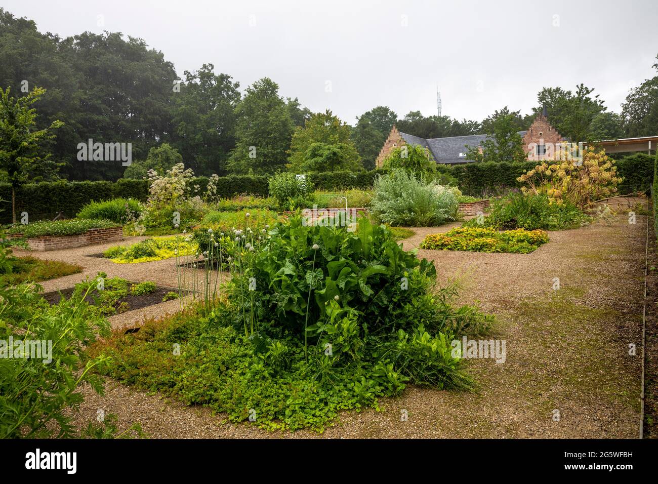 L'illustrazione raffigura i giardini botanici nazionali belgi recentemente rinnovati a Meise, mercoledì 30 giugno 2021. BELGA FOTO HATIM KAGHAT Foto Stock