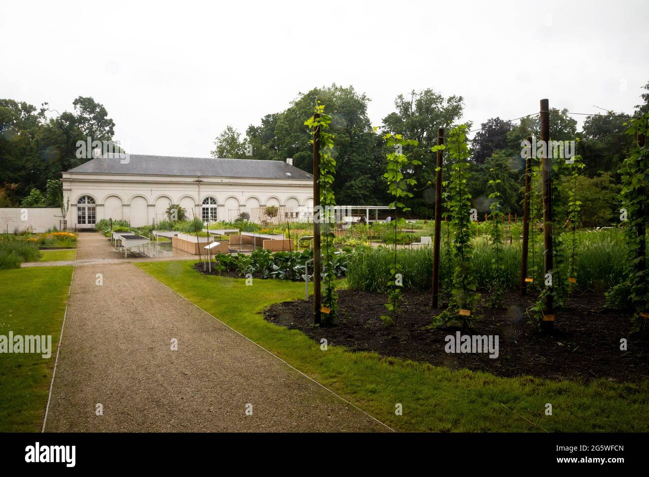 L'illustrazione raffigura i giardini botanici nazionali belgi recentemente rinnovati a Meise, mercoledì 30 giugno 2021. BELGA FOTO HATIM KAGHAT Foto Stock