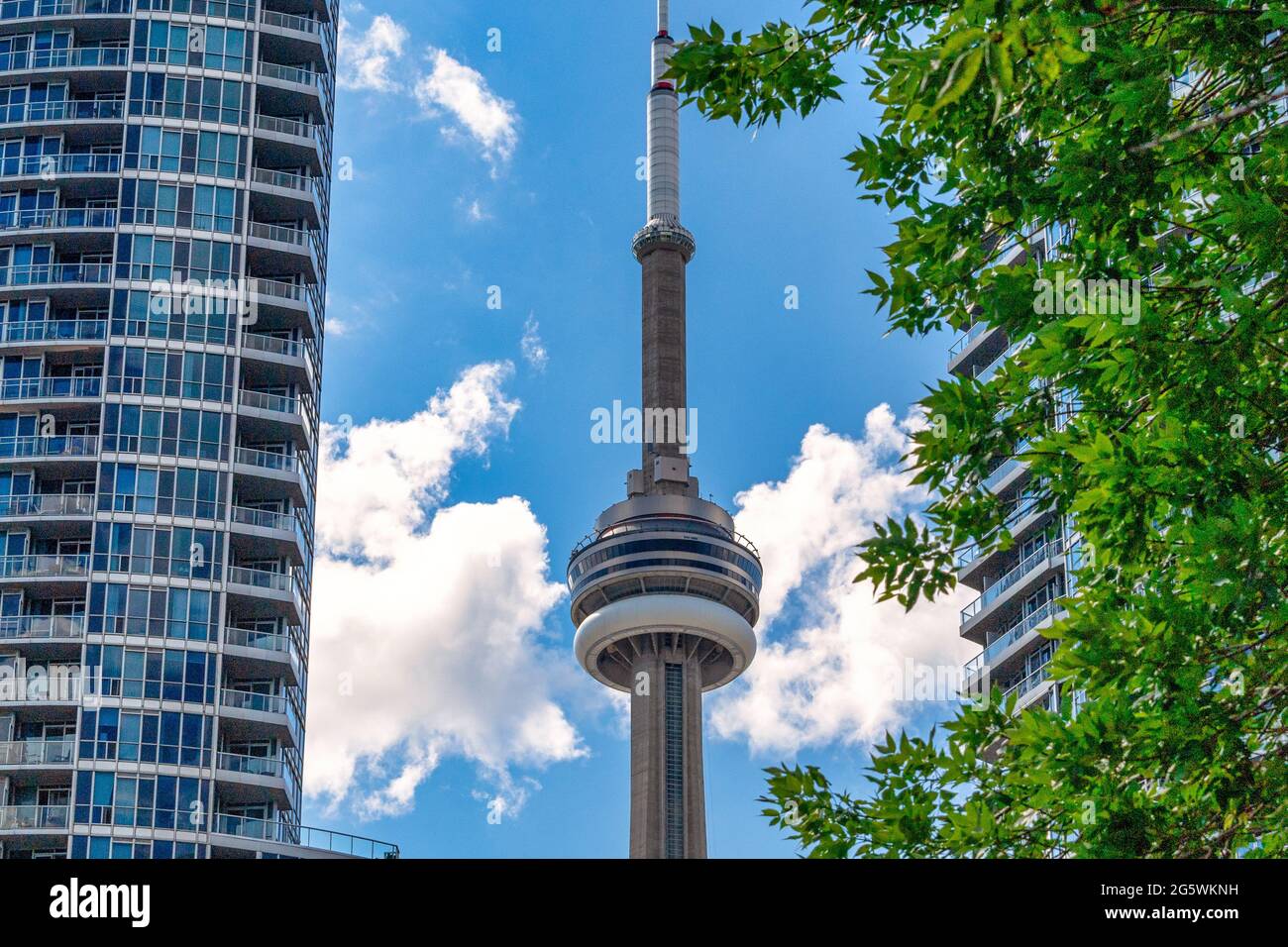 Toronto City Scenes, Canada Foto Stock