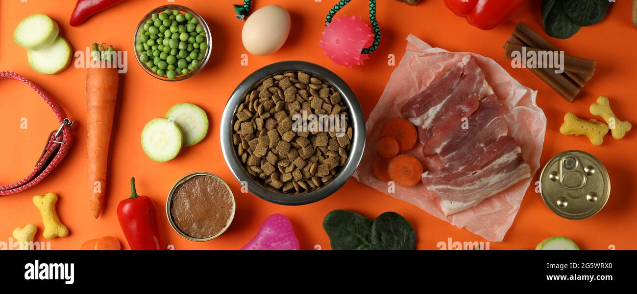 Concetto di alimenti biologici per animali domestici su sfondo arancione Foto Stock