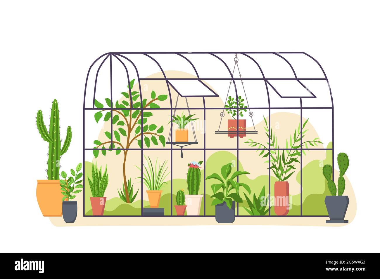 Giardino serra. Casa di orangeria botanica in vetro con cactus e piante tropicali coltivate in pentole. Cartone animato verde natura vettore concetto Illustrazione Vettoriale