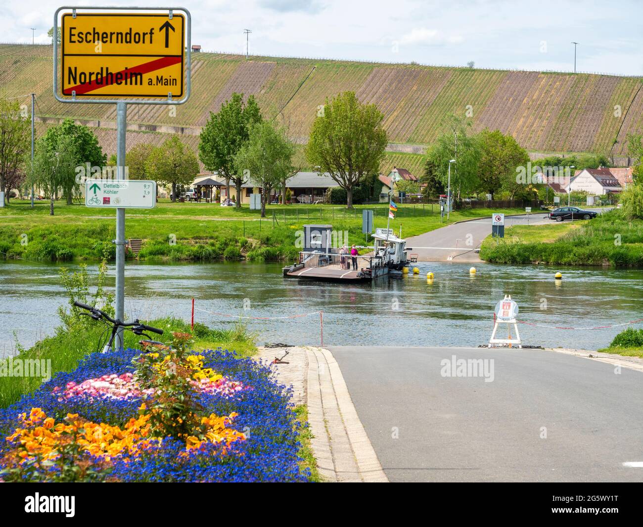 Traghetto Escherndorf - Nordheim, fiume principale, prua principale vicino a Volkach, baviera, germania. Foto Stock