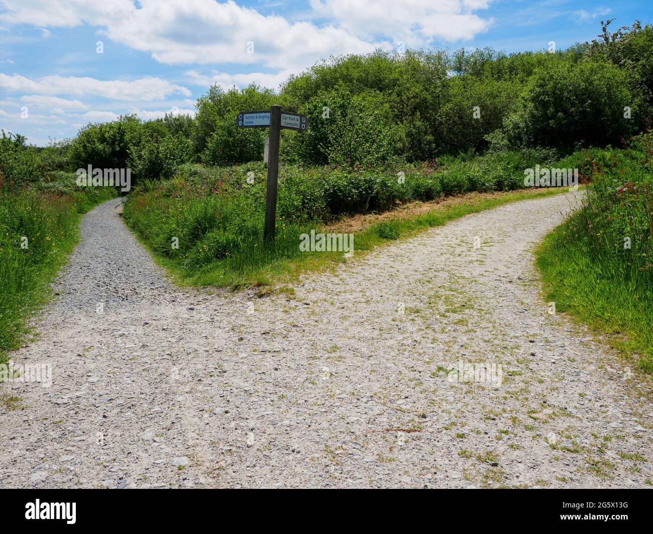 Footpath che si divide in due, Devon, Regno Unito Foto Stock