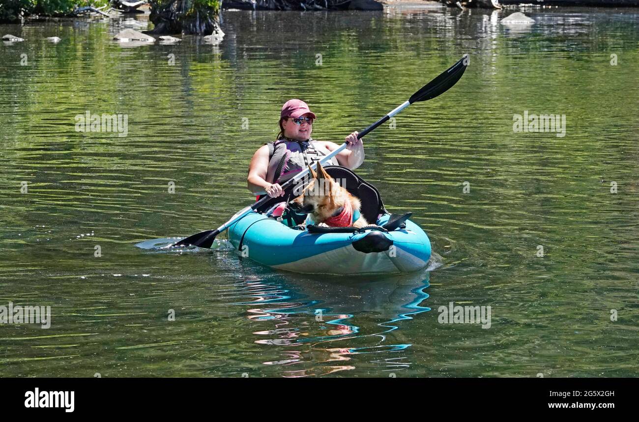 Una donna in kayak con il suo cane da pastore tedesco in una calda giornata estiva al lago Suttle nelle Cascades dell'Oregon centrale. Foto Stock