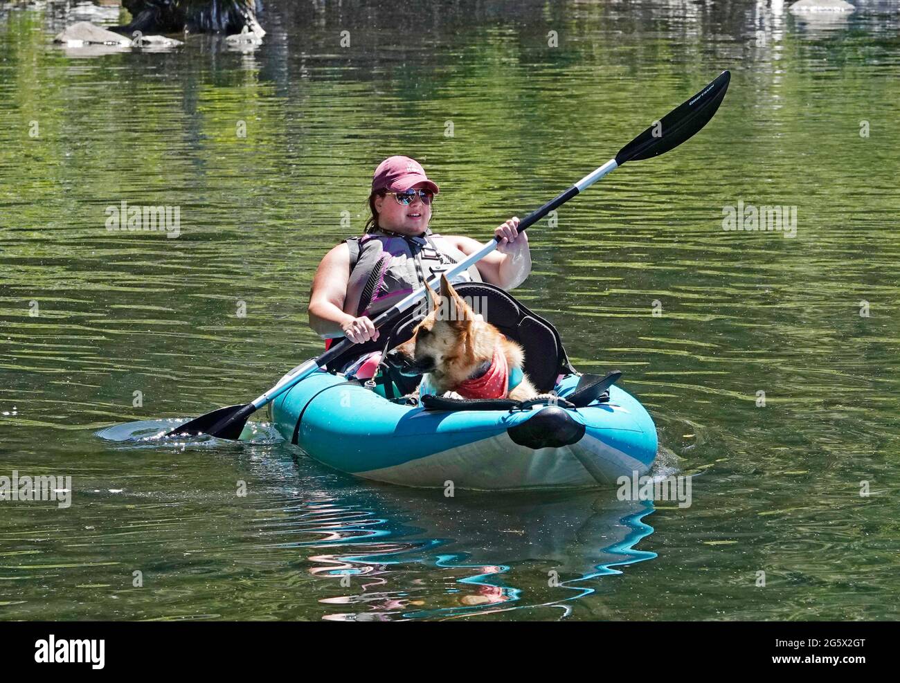 Una donna in kayak con il suo cane da pastore tedesco in una calda giornata estiva al lago Suttle nelle Cascades dell'Oregon centrale. Foto Stock