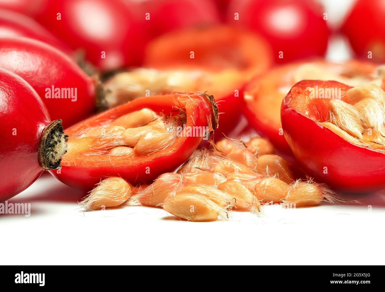 Rosehips Rosa Canina frutta, tagliato a semi semi semi visibili macro closeup dettaglio, isolato su sfondo bianco Foto Stock