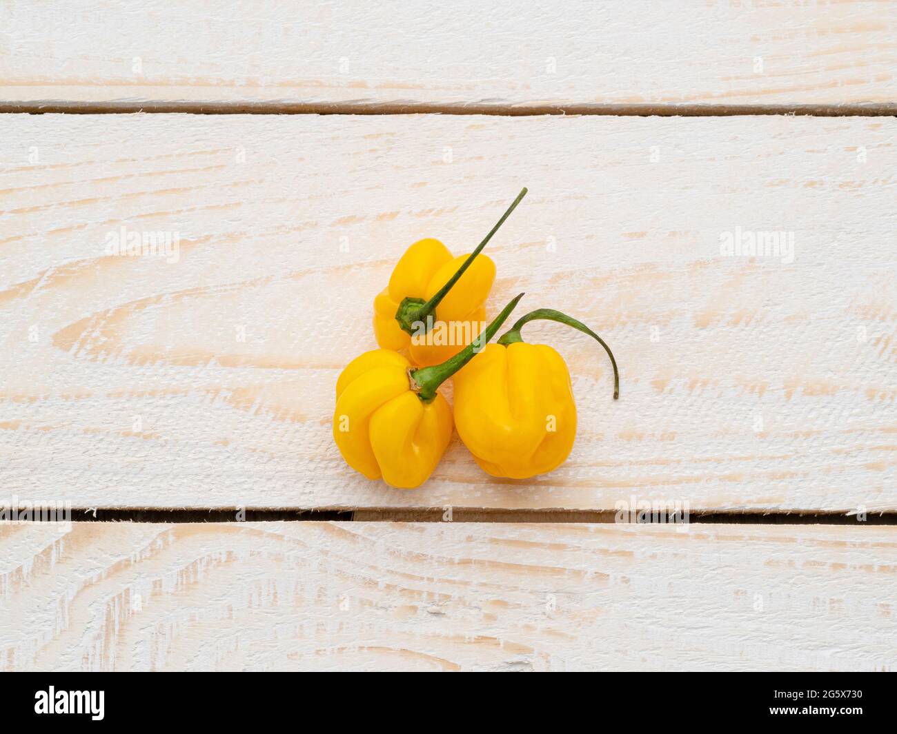 Vista in pianta dei peperoni gialli Scotch Bonnet su un bianco legno pannellato, sfondo rustico. Foto Stock