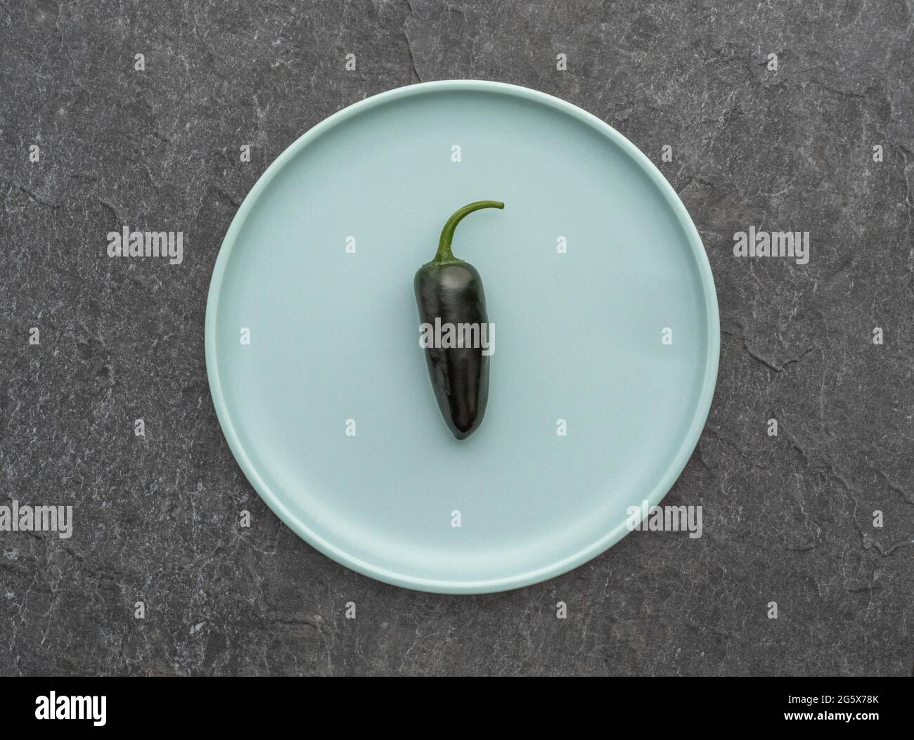Vista in pianta del peperoncino viola Jalapeño su un posto blu uovo d'anatra. Foto Stock