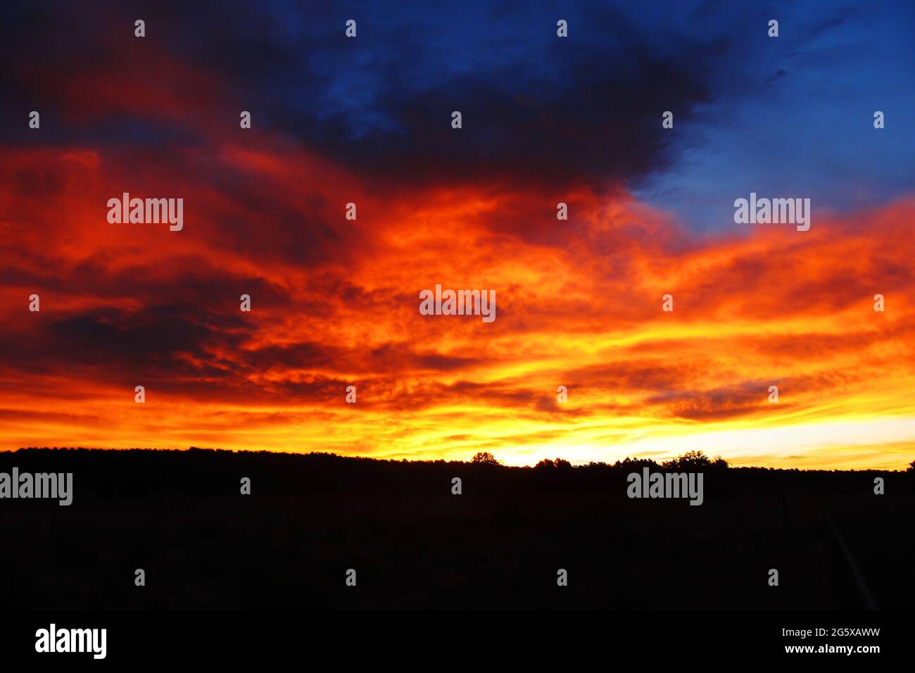 Un'alba spettacolare e dorata nel sud-ovest, fotografata appena fuori Escalante, Utah, USA Foto Stock