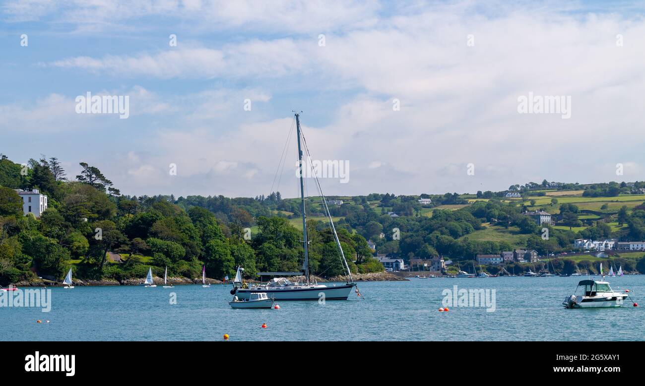Porto di Glandore visto da Union Hall West Cork Irlanda Foto Stock